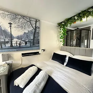 The Llyffant Shed Holiday home